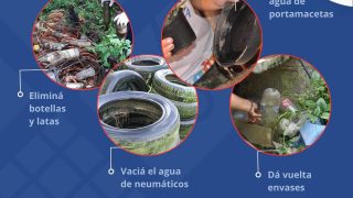 DESCACHARRADO | Campaña de prevención contra el DENGUE