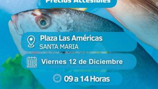 PESCADO PARA TODOS EN SANTA MARÍA