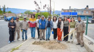 PLANTACIÓN DE ÁRBOLES EN LA AVENIDA DIEGO GUTIÉRREZ PEDRAZA